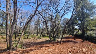  Terrain � vendre 940 m� Uz�s