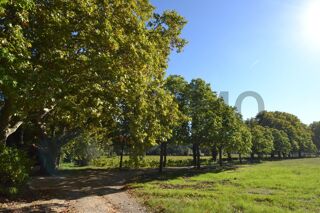  Propri�t�/ch�teau � vendre 15 + pi�ces 1200 m�