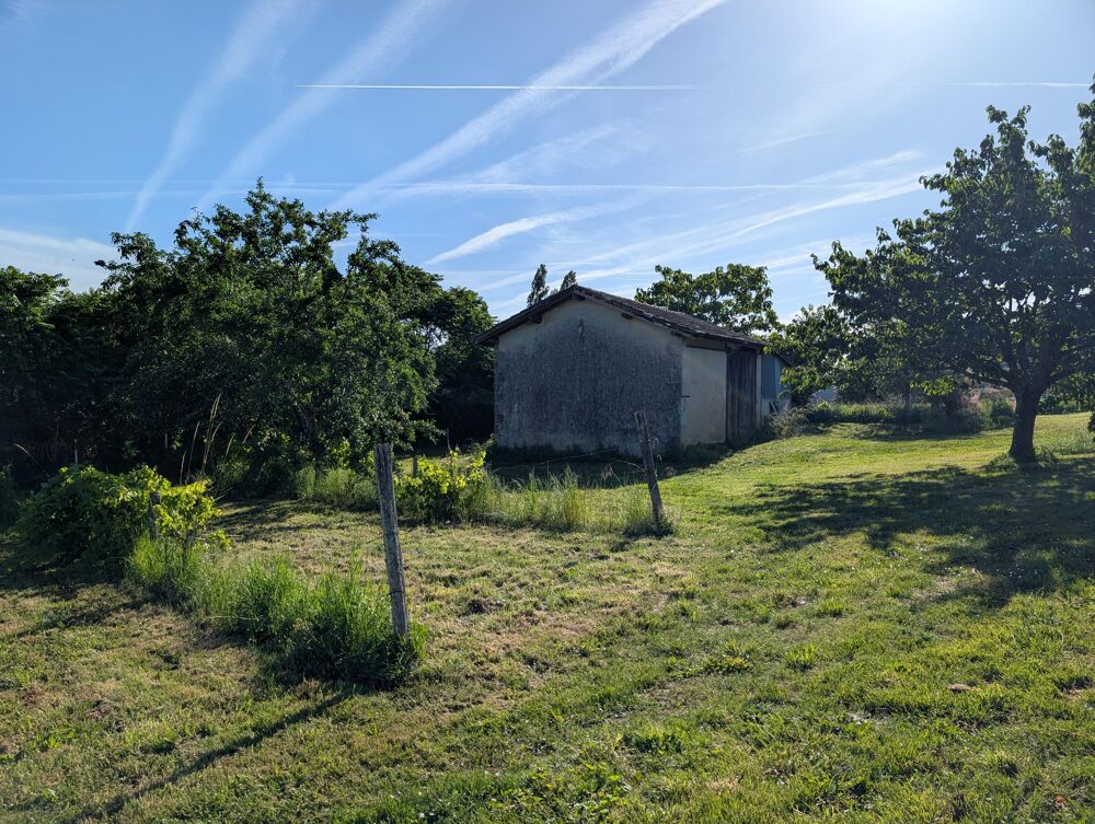 Vente Terrain Terrain constructible Saint-sauveur-de-meilhan