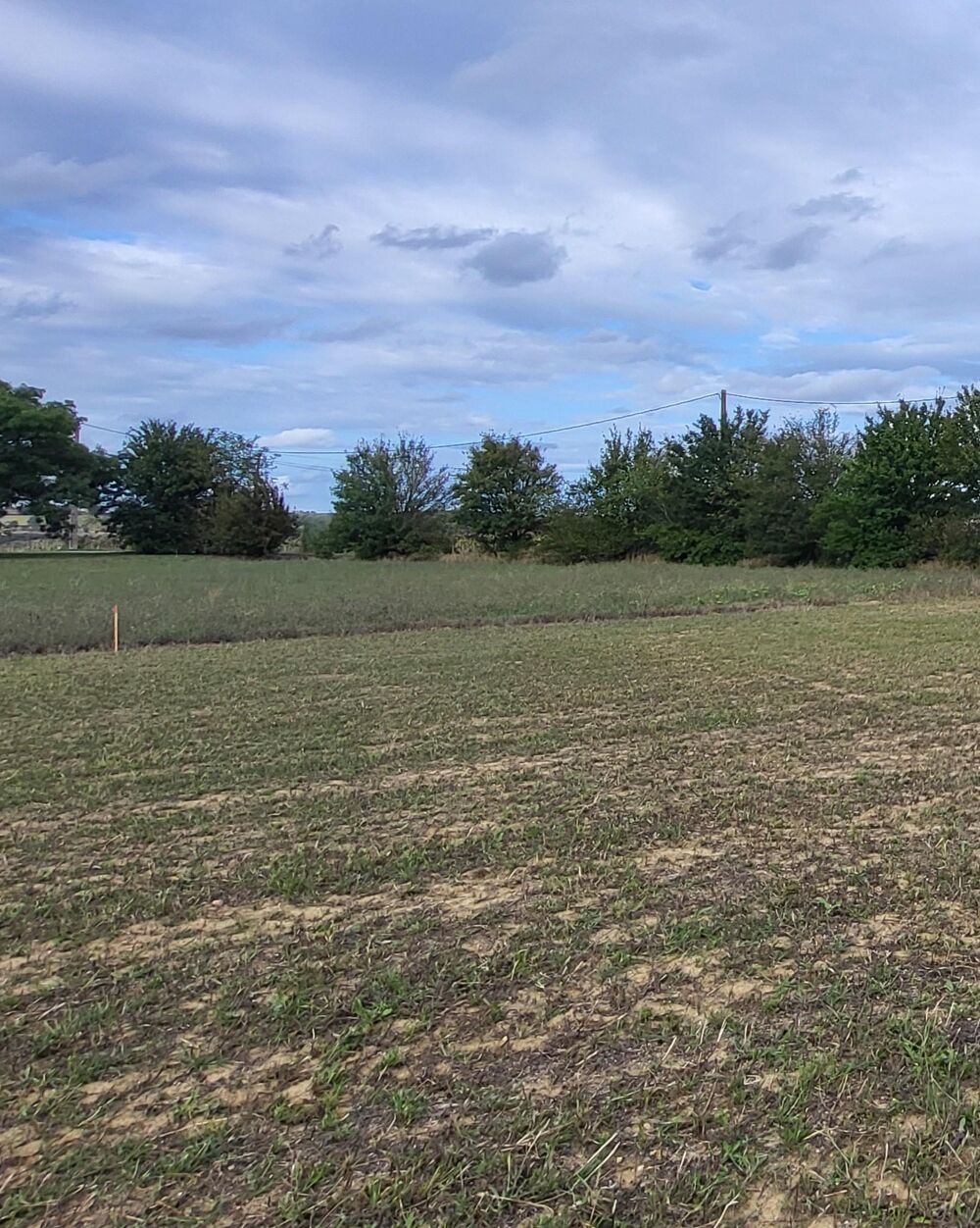 Vente Terrain Terrain constructible Ségreville