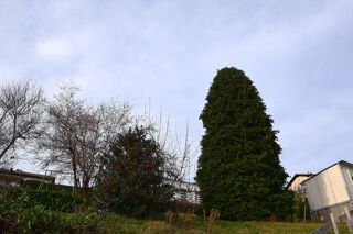  Terrain � vendre 1526 m�