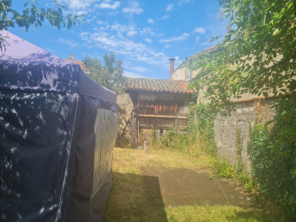 Vente Immeuble Immeuble 10 pièces Chazelles-sur-lyon