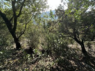  Terrain � vendre 6839 m�