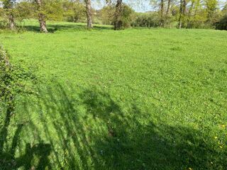  Terrain  vendre 3830 m