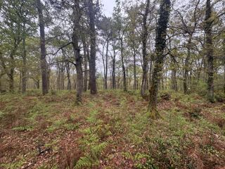  Terrain � vendre 