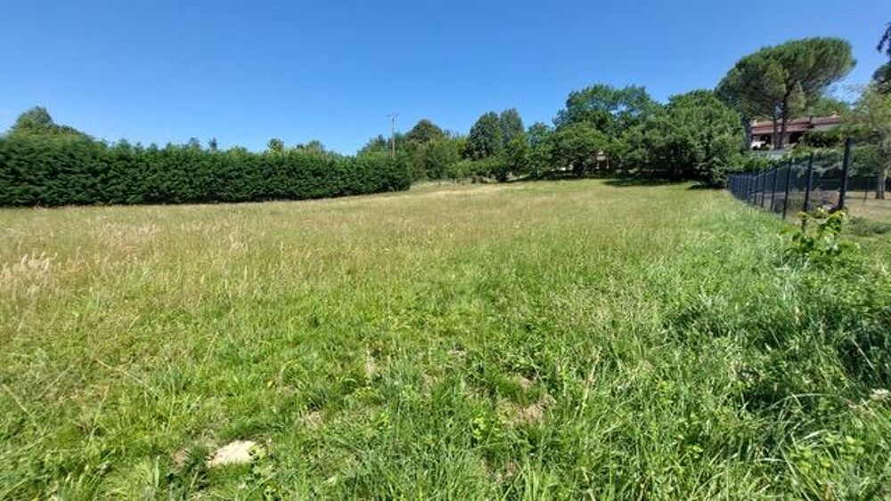 Vente Terrain Terrain constructible Albi