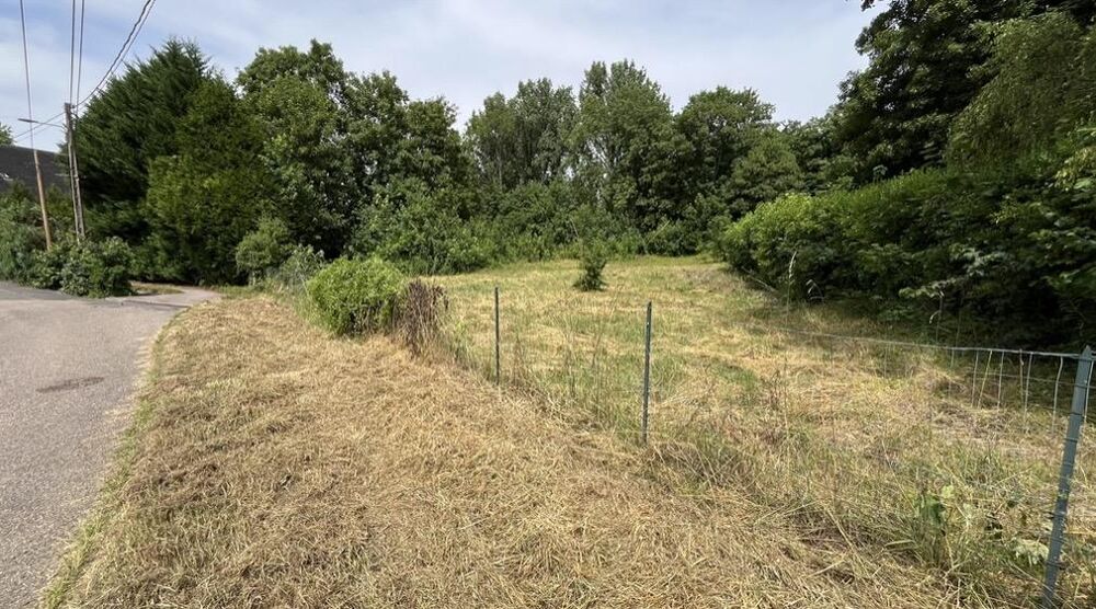 Vente Terrain Terrain constructible Mercy-le-bas