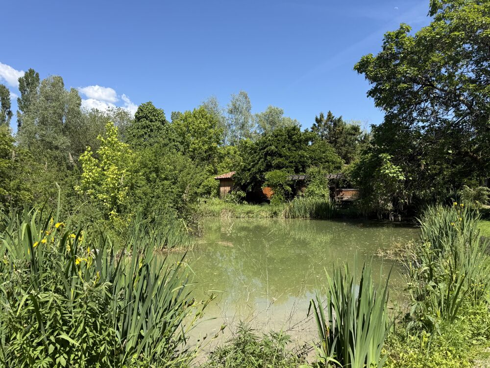 Vente Terrain Vente murs pro  à Cahuzac-sur-vère Cahuzac-sur-vère