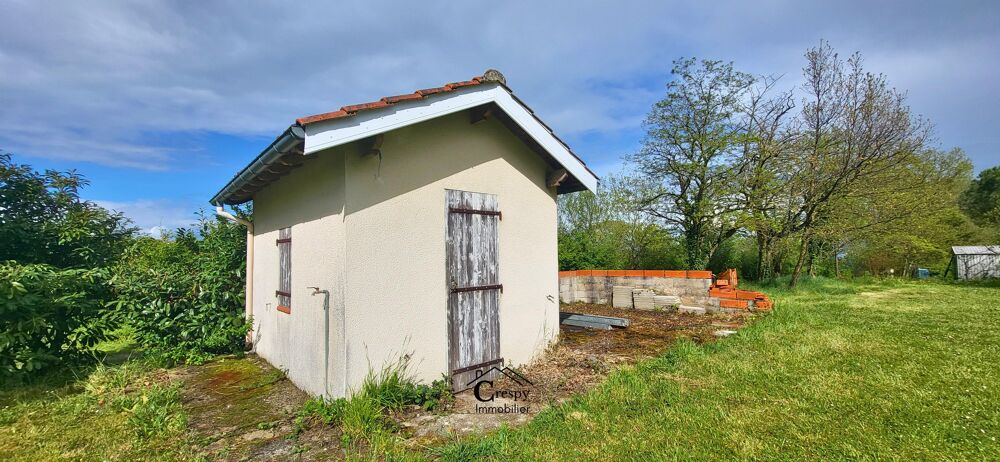 Vente Terrain Terrain Puylaurens