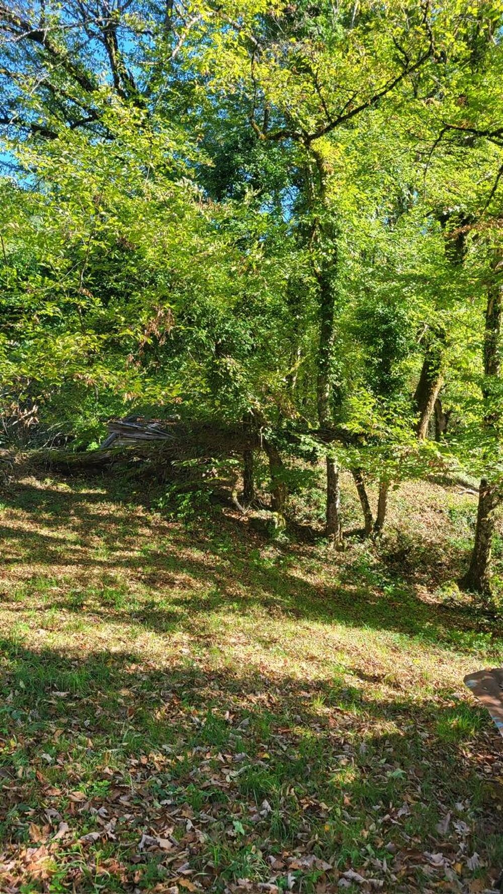 Vente Terrain Terrain Queige