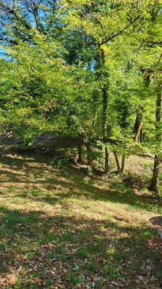  Terrain à vendre 36 m²