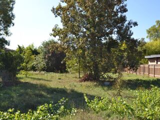  Terrain  vendre 977 m