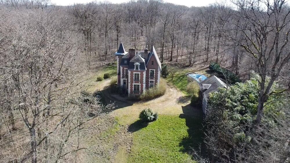 Vente Propri�t�/Ch�teau Ch�teau 8 pi�ces Ouzouer-sur-tr�z�e