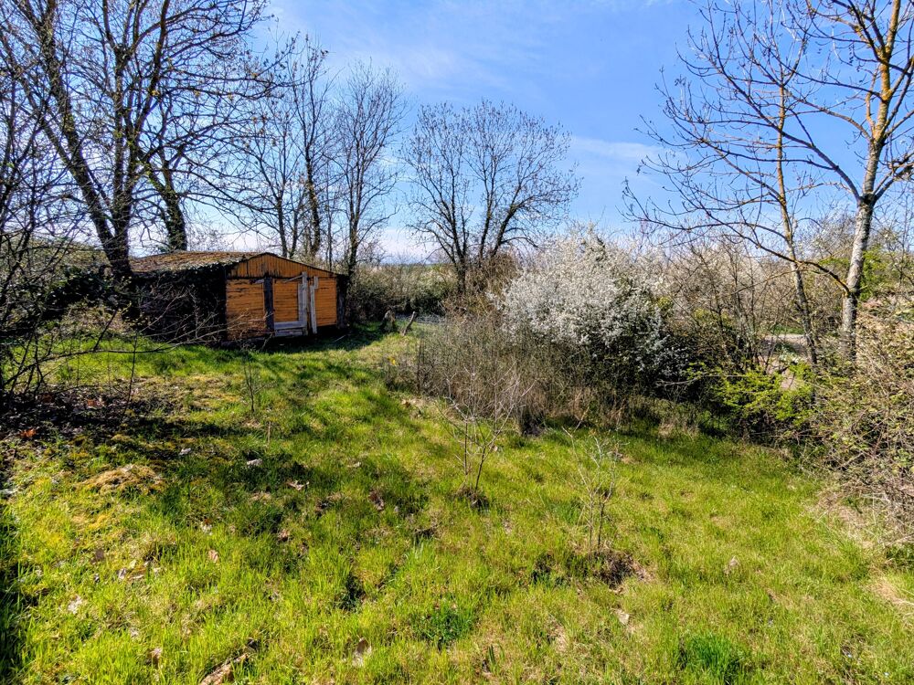 Vente Terrain Terrain constructible Neulise