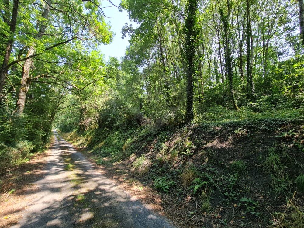 Vente Terrain Terrain Roquecourbe