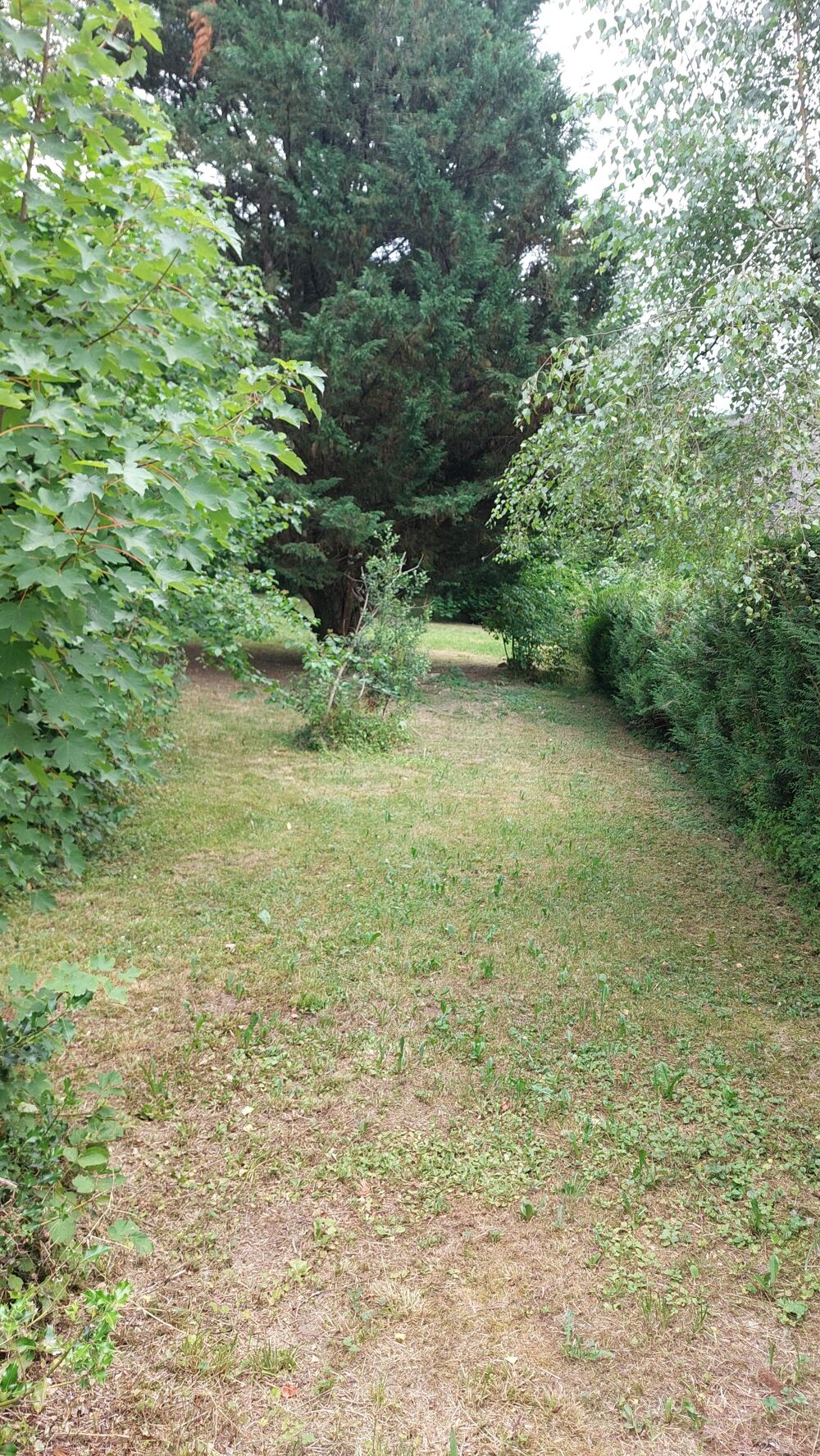 Vente Terrain Terrain constructible Nâves-parmelan