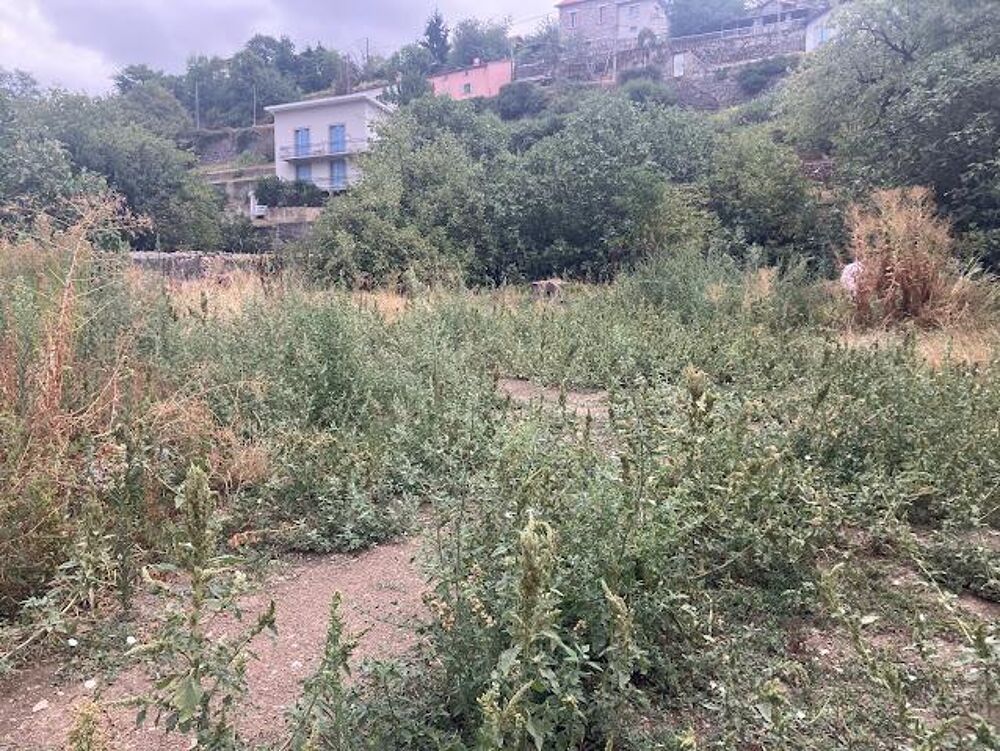 Vente Terrain Terrain constructible Foix