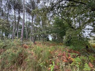  Terrain � vendre 51575 m�