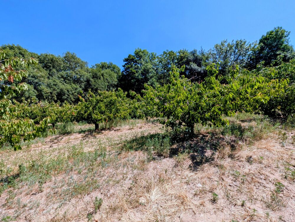 Vente Terrain Terrain constructible Le crestet