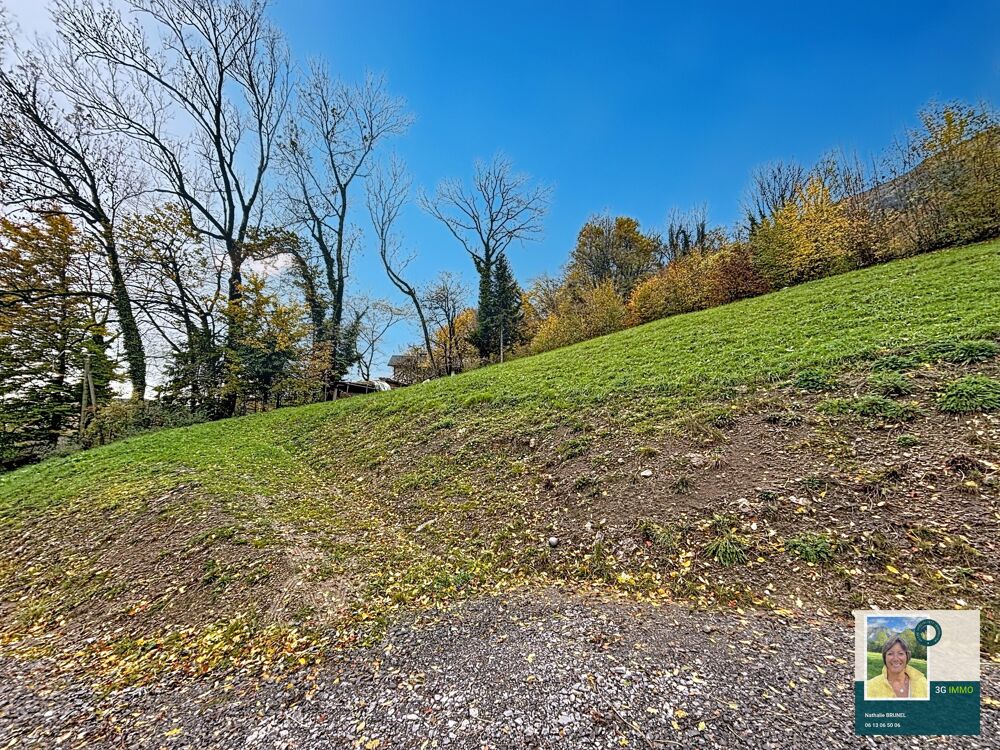 Vente Terrain Terrain constructible Mieussy