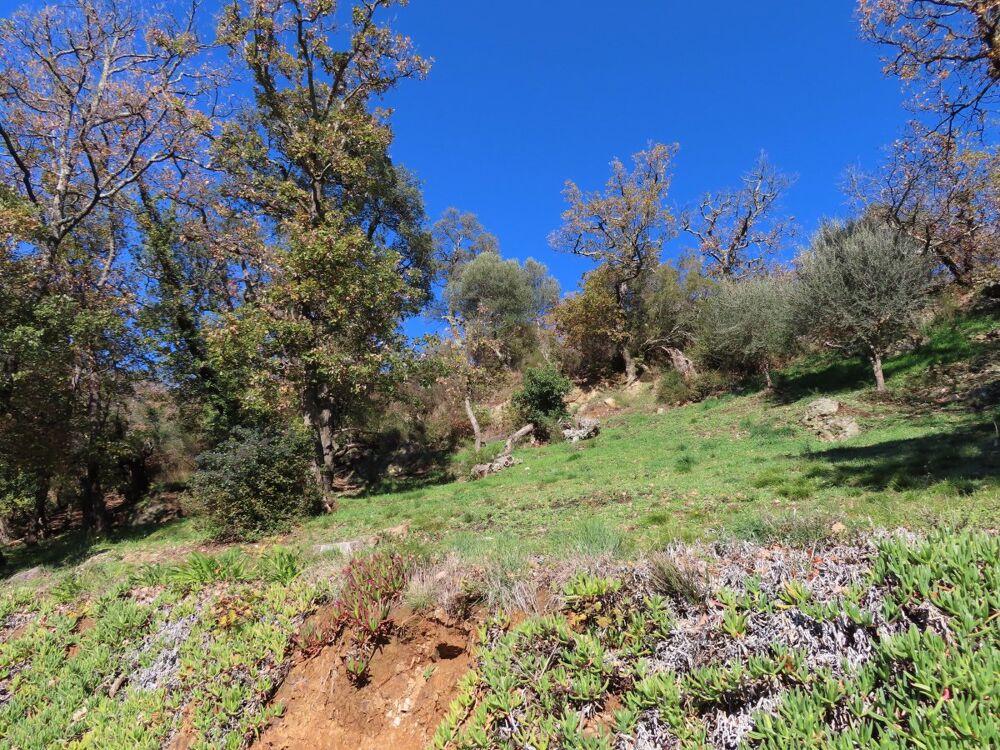  vendre  Maison Collobrires (83610)