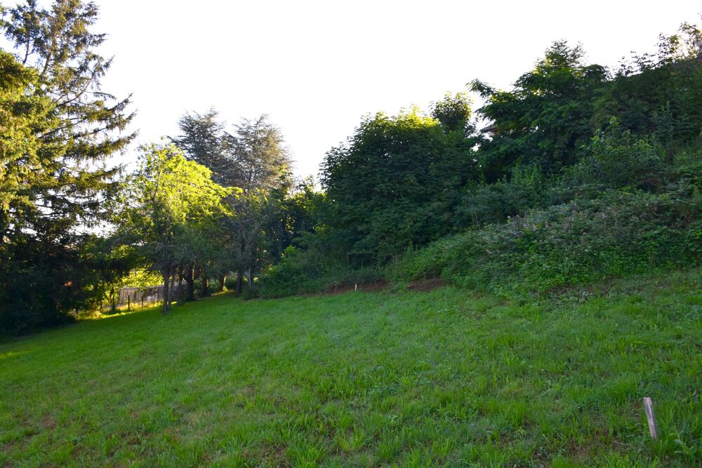 Vente Terrain Terrain constructible Saint-héand
