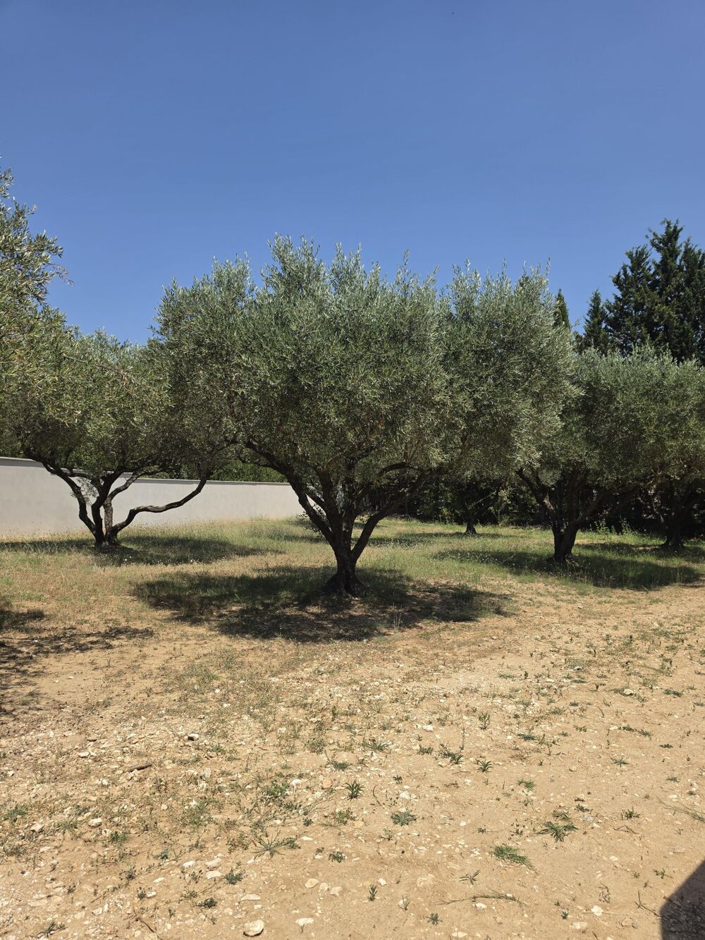 Vente Terrain Terrain constructible Uzès
