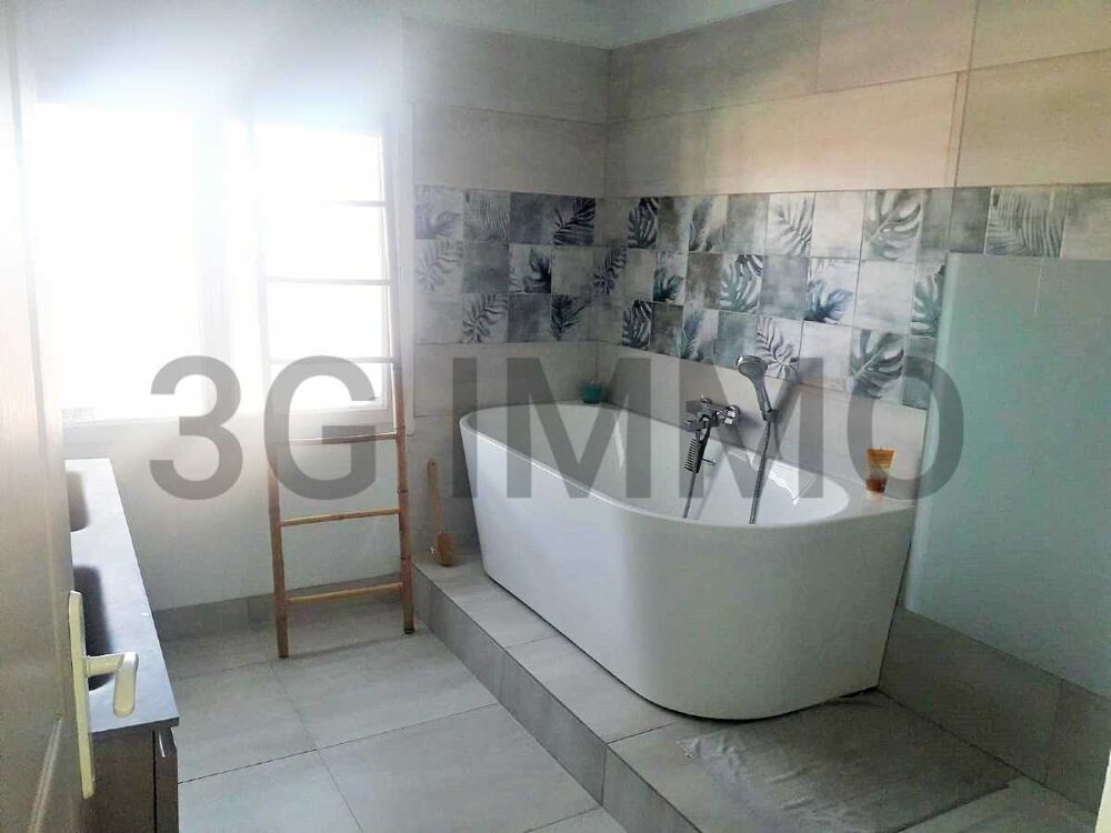 Vente Maison Mas 7 pi�ces Saint-cyprien