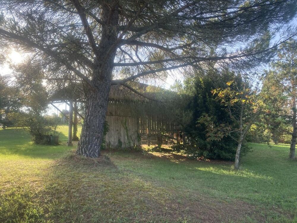 Vente Maison Maison avec dépendance 4 pièces Samatan