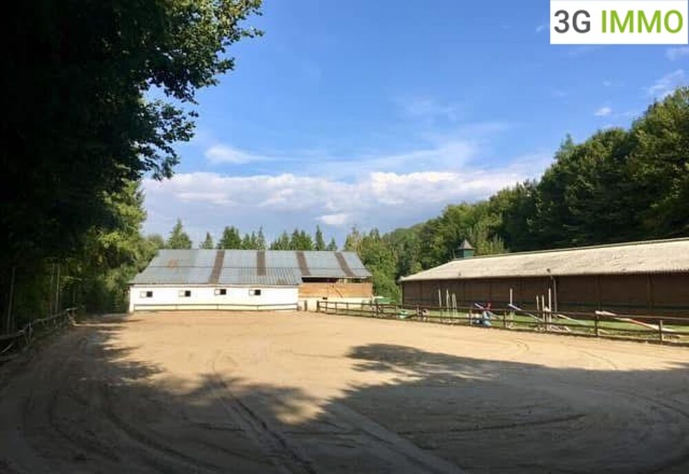 Propriété équestre 5 pièces
