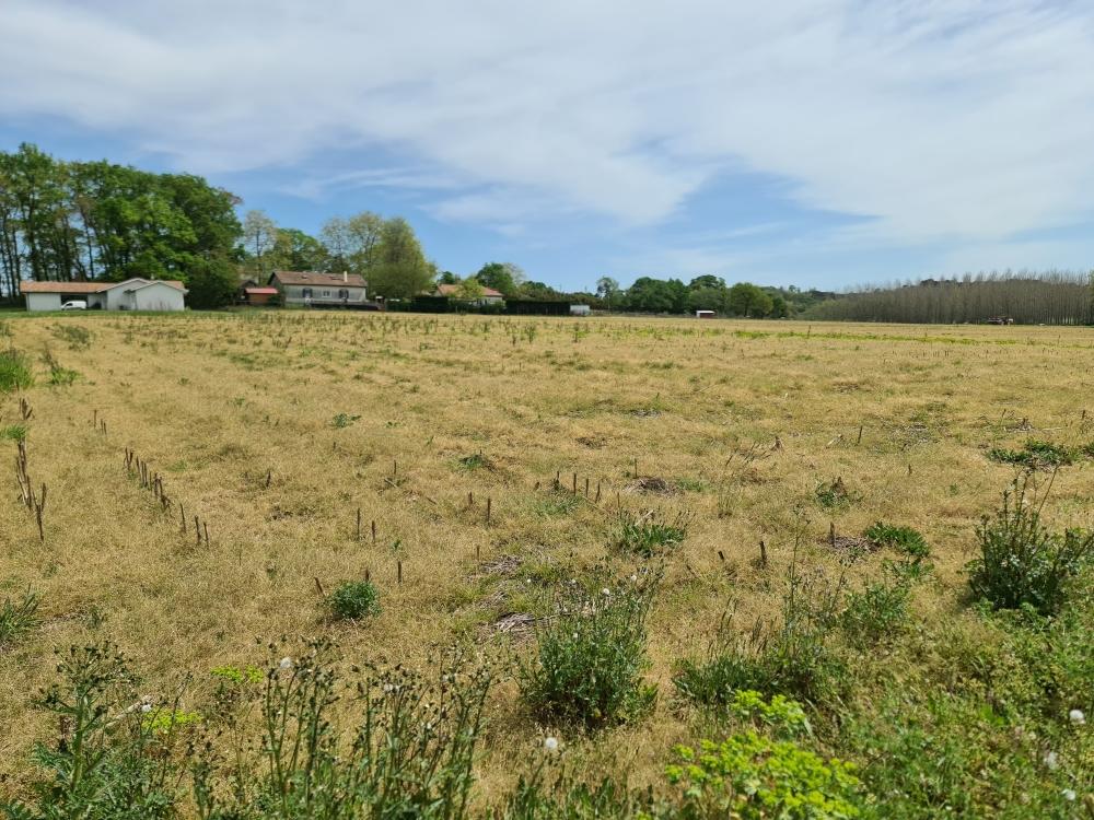 Vente Terrain Terrain constructible Sainte-marie-de-gosse