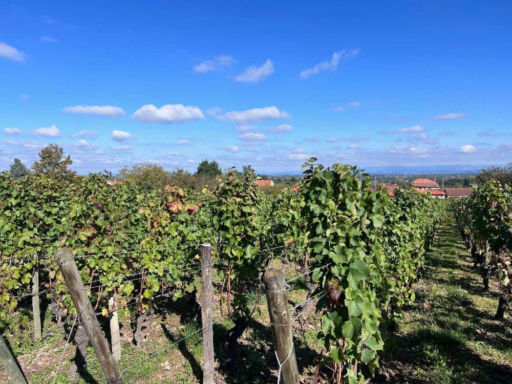 � vendre  Maison Roanne (42300)