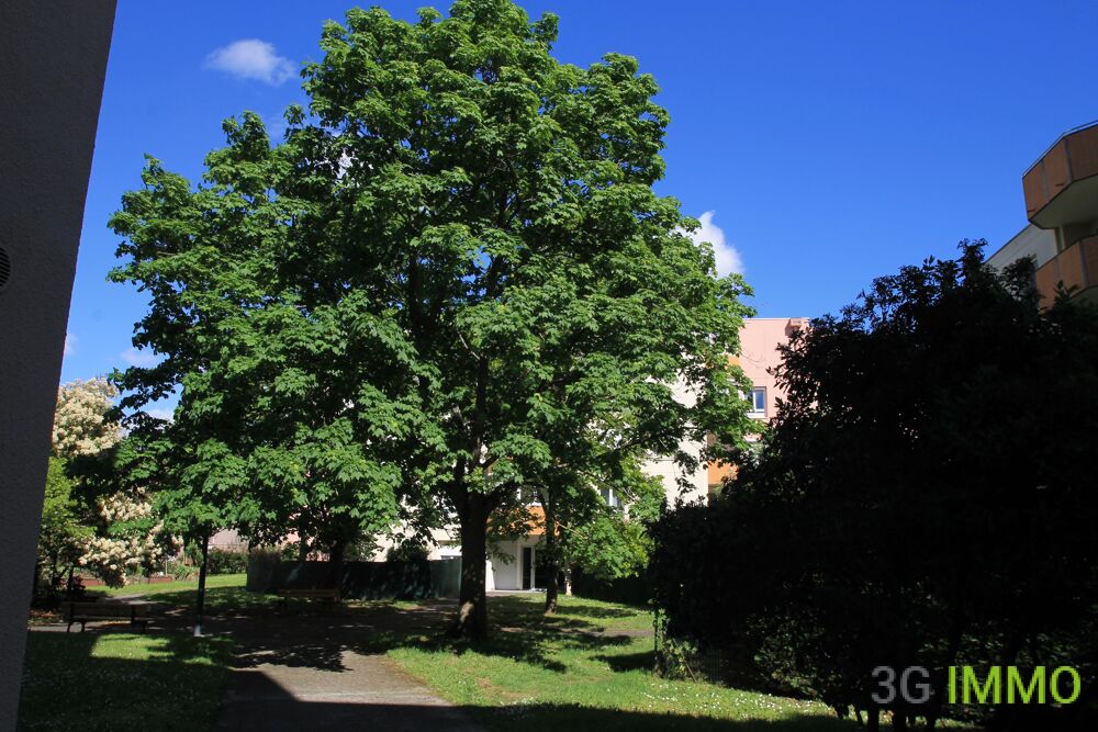 Vente Appartement Appartement 1 pièce Blagnac