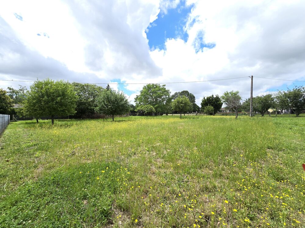 Vente Terrain Terrain constructible Roquecourbe