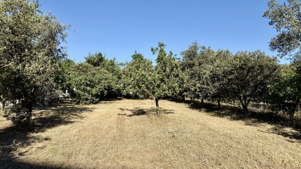 Vente Terrain Terrain Carpentras