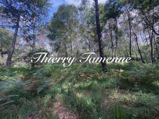  Terrain � vendre 141093 m�