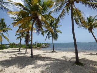  Appartement � vendre 3 pi�ces 122 m�