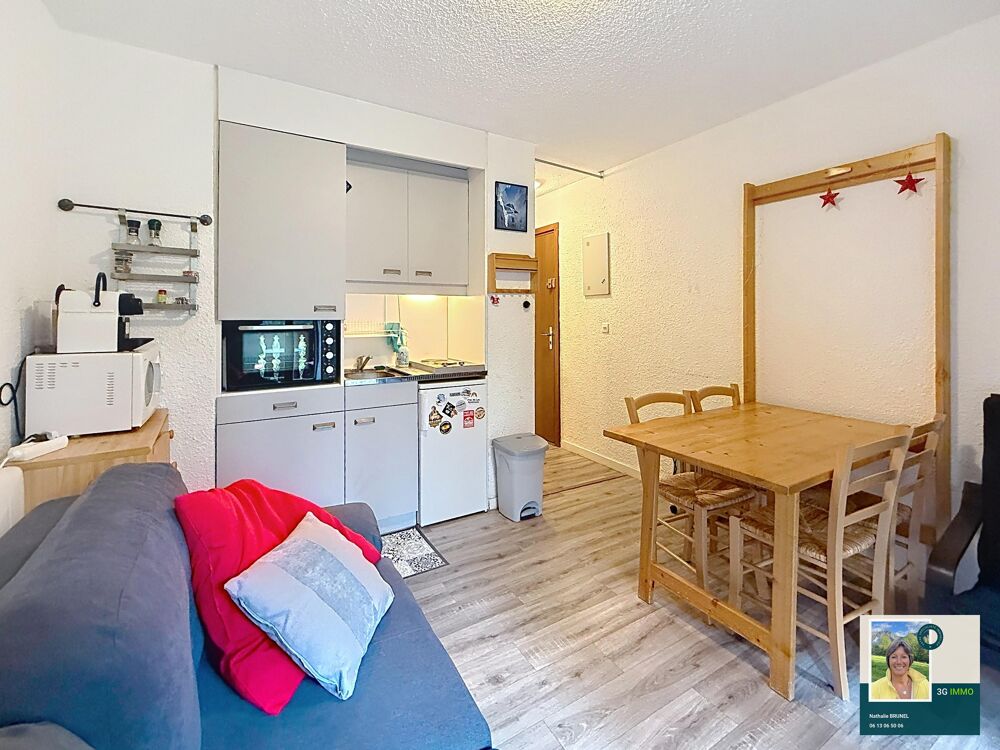 Vente Appartement Studio meublé 1 pièce Mieussy