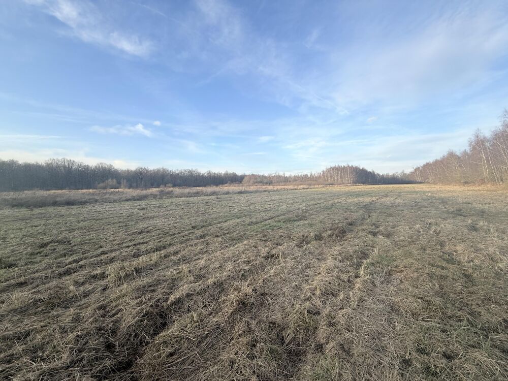 Vente Terrain Forêt Pamfou