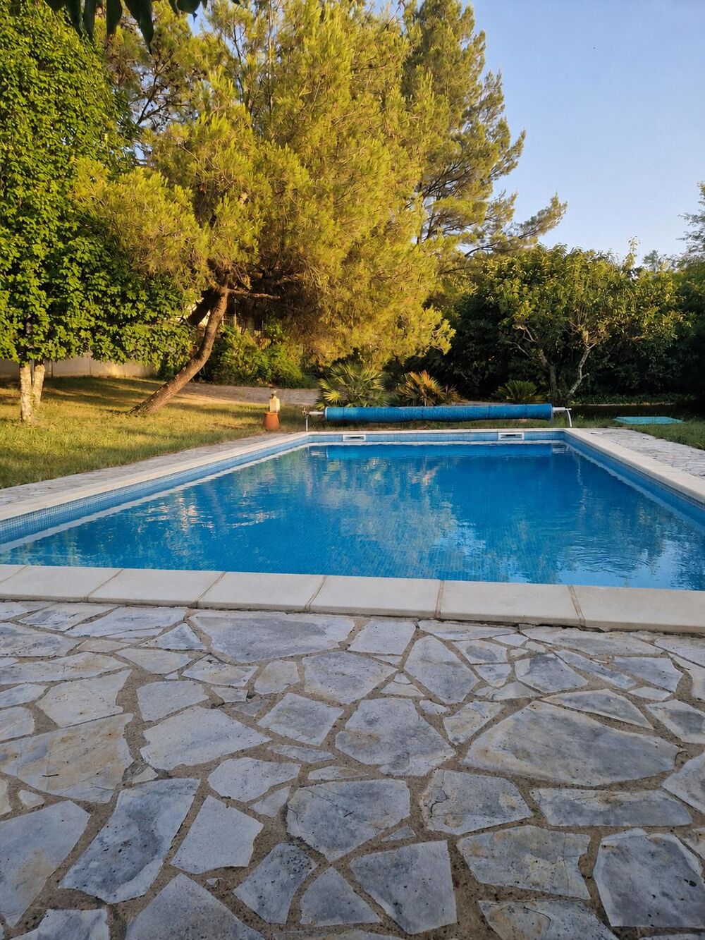 Maison et grand terrain 5 pièces