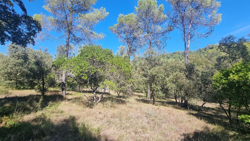 Vente Terrain Terrain constructible Saint-mathieu-de-tréviers