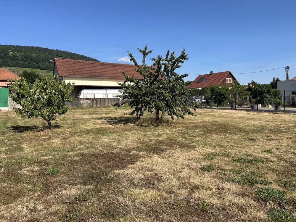 Vente Terrain Terrain constructible Bergholtz