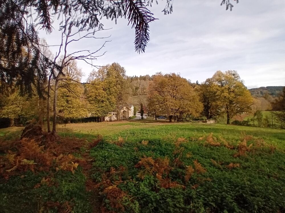 Vente Terrain Terrain constructible Viane
