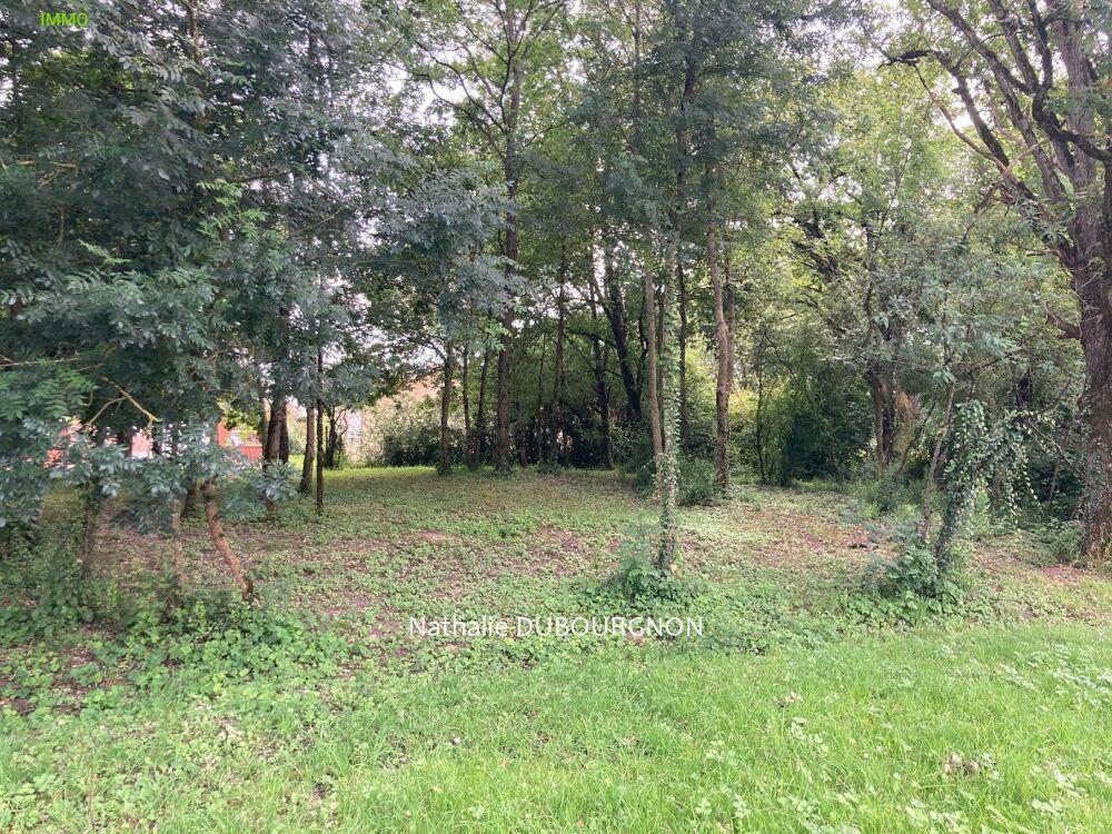 Vente Terrain Terrain constructible Bâgé-dommartin