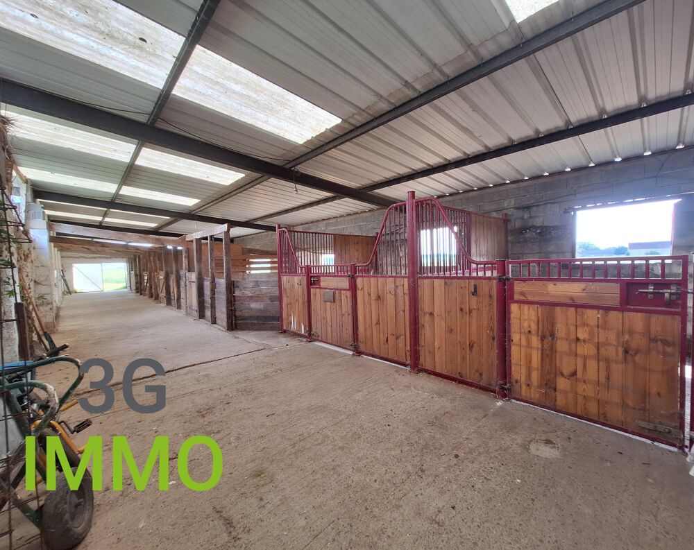 Vente Maison Maison avec dépendance 6 pièces Luzé