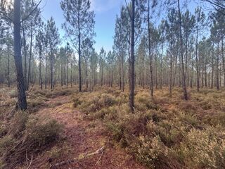  Terrain � vendre 40400 m�