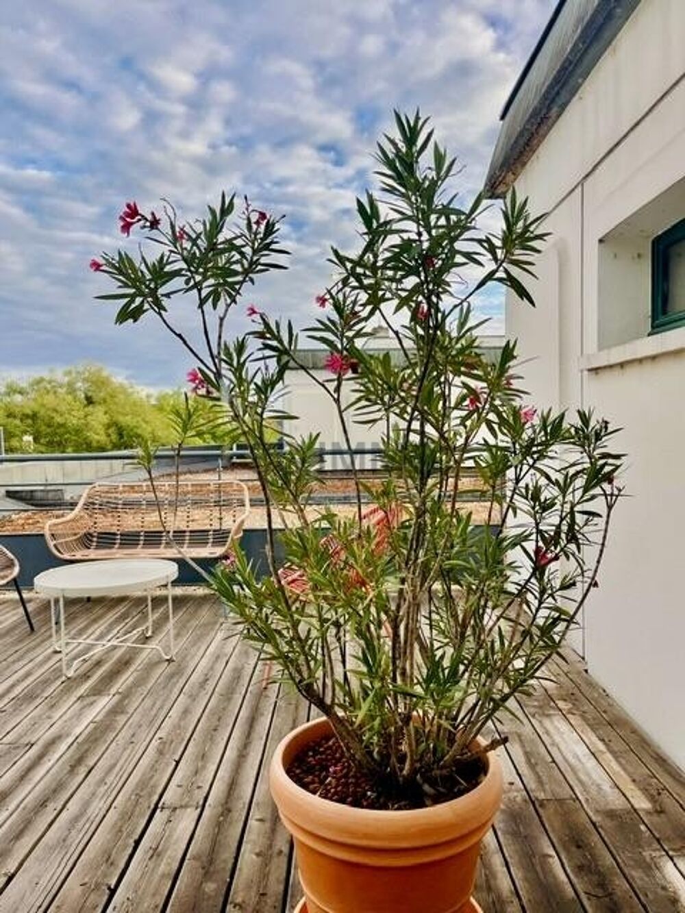 Appartement 3 pièces