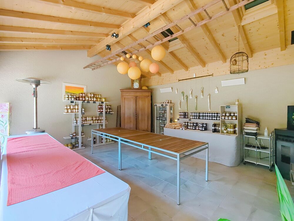 à vendre  Maison Ambilly (74100)