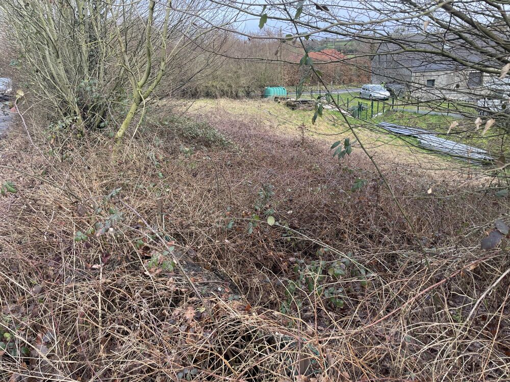 Vente Terrain Terrain constructible Colleret
