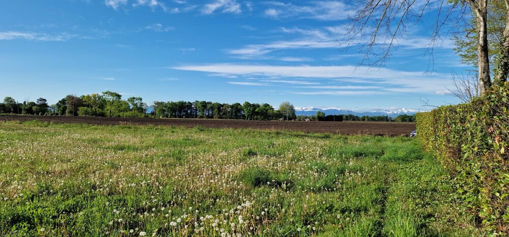 Vente Terrain Terrain constructible Uzein